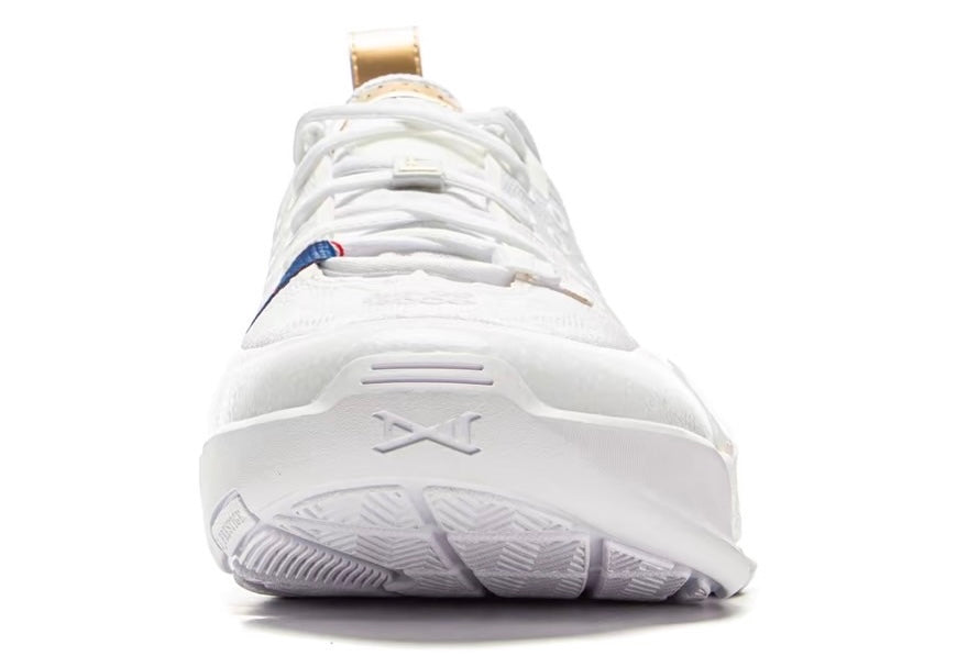 Li-Ning Wade All City 13"champion"