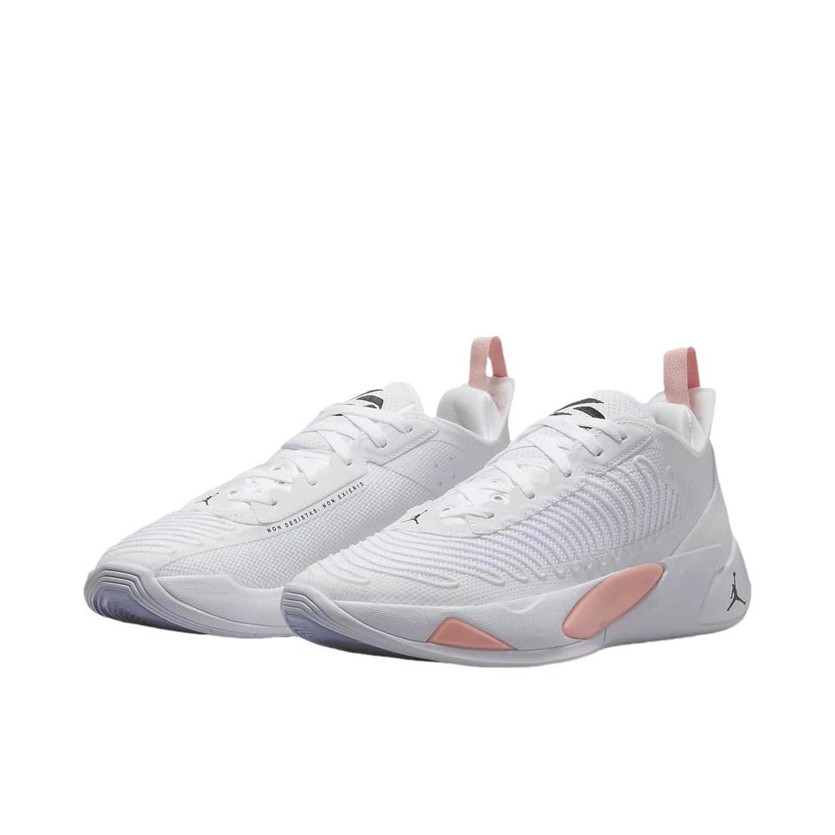 Nike Jordan LUKA 1 "Dog Dad" PF