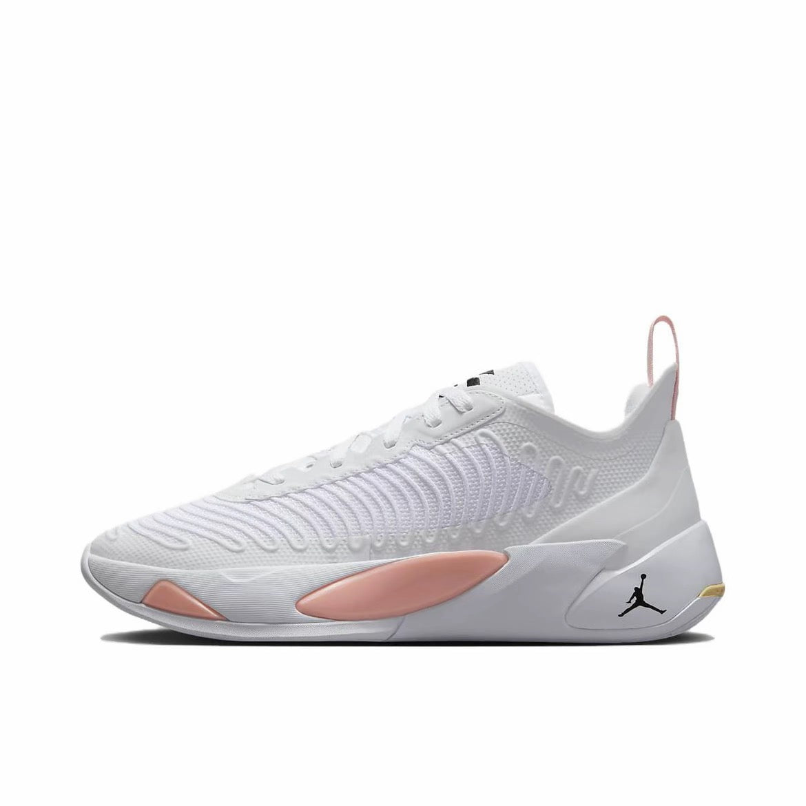 Nike Jordan LUKA 1 Dog Dad